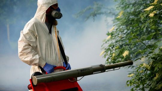 Odkomarzanie w Parku Bronowice