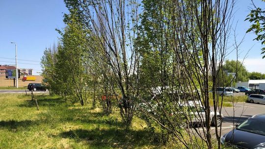 Armii Krajowej bliżej przejścia podziemnego