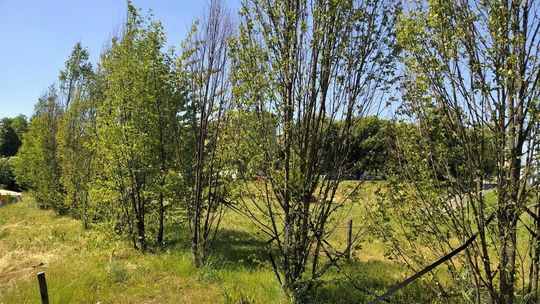 Armii Krajowej bliżej przejścia podziemnego