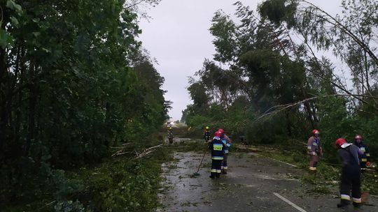 Usuwanie skutków nawałnic w powiecie lubelskim. Działania OSP Strzeszkowice Duże