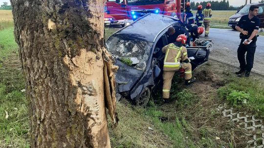Klementynów. Śmiertelny wypadek w gminie Niedźwiada Klementynów. Śmiertelny wypadek w gminie Niedźwiada