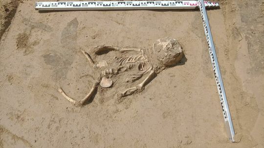 Kości odsłonięte w Kazimierzu Dolnym