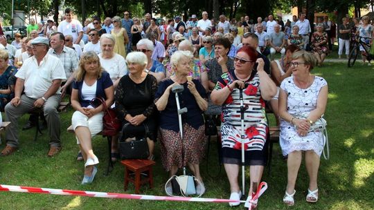 Festyn w Wąwolnicy Festyn w Wąwolnicy