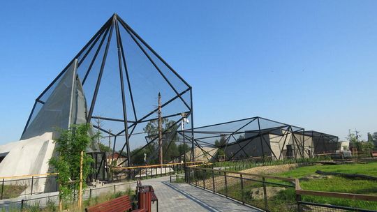 Nowe obiekty w zoo w Zamościu