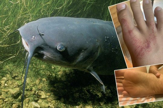 Zdjęcie ilustracyjne