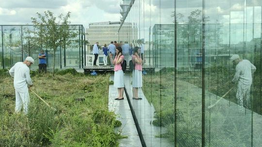 Sianokosy na tarasie widokowym CSK 