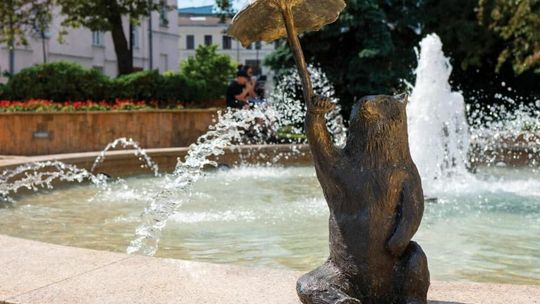 Figurki niedźwiadków w Chełmie Figurki niedźwiadków w Chełmie