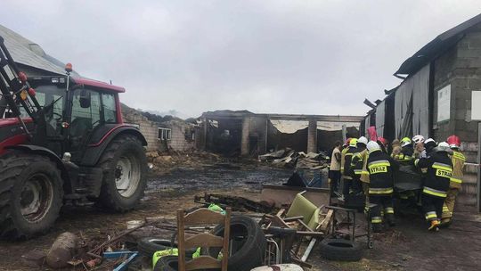 Pożar w okolicach Łukowa Pożar w okolicach Łukowa