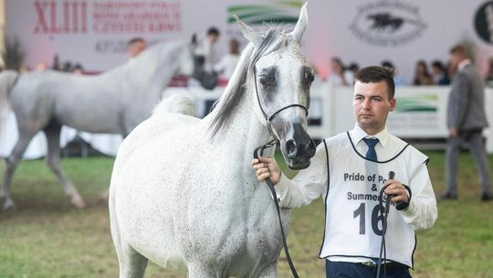 Lot 16. Pustynna Noc