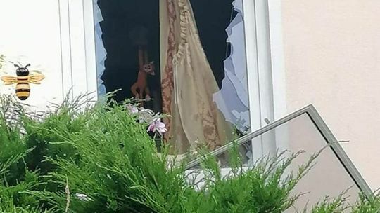 Wybuch gazu w gminie Żyrzyn