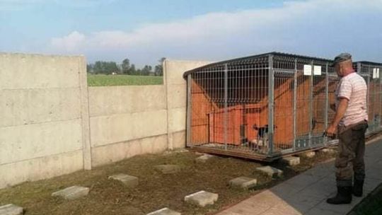 Zniszczone schronisko dla zwierząt w powiecie ryckim