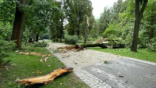 Lublin. Zniszczenia po burzy Lublin. Zniszczenia po burzy