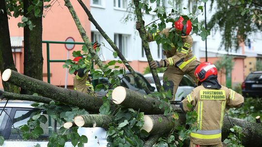 Lublin. Zniszczenia po nawałnicy na Czechowie i Czubach Lublin. Zniszczenia po nawałnicy na Czechowie i Czubach