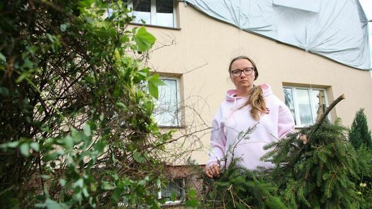 Stasin, Strzeszkowice. Zniszczenia po nawałnicy Stasin, Strzeszkowice. Zniszczenia po nawałnicy