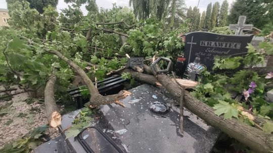 Zniszczenia na cmentarzu na ul. Unickiej w Lublinie Zniszczenia na cmentarzu na ul. Unickiej w Lublinie