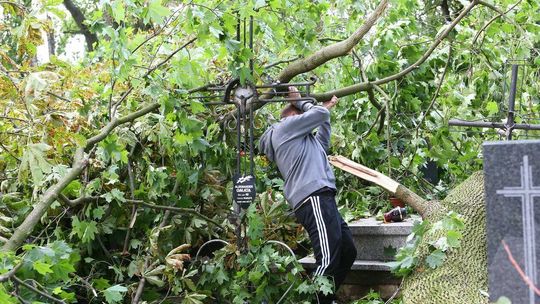 Zniszczenia na cmentarzu w Konopnicy Zniszczenia na cmentarzu w Konopnicy