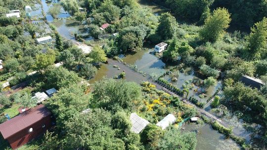 Zalane ogródki działkowe przy ul. Zawilcowej w Lublinie