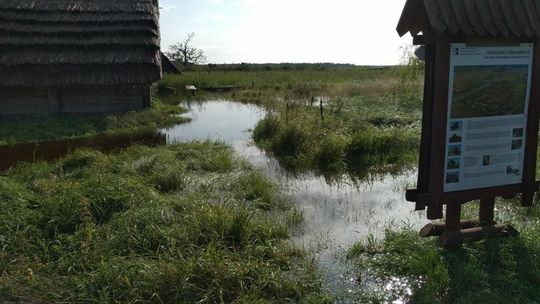 Grodzisko Żmijowiska po ulewach