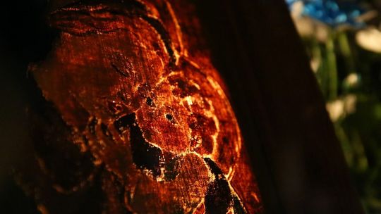 Nocna pielgrzymka do sanktuarium Matki Bożej Kębelskiej