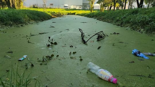 Problem z odwodnieniem w Parku Ludowym