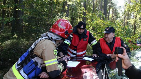 Ćwiczenia zgrywające w lasach międzyrzeckich
