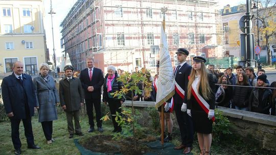 Zasadzenie dębu i zakopanie kapsuły czasu na 100-lecie III LO