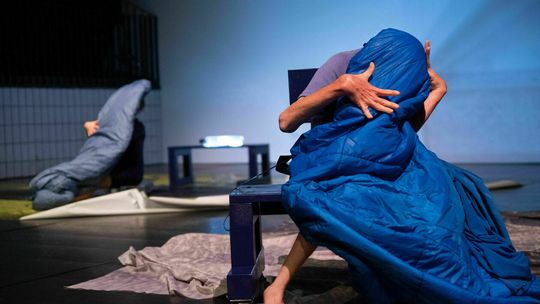 SKIN- Renae Shadler & Collaborators with Roland Walter