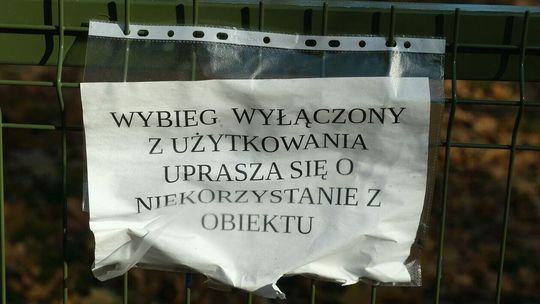 Wybieg dla psów w parku Ludowym