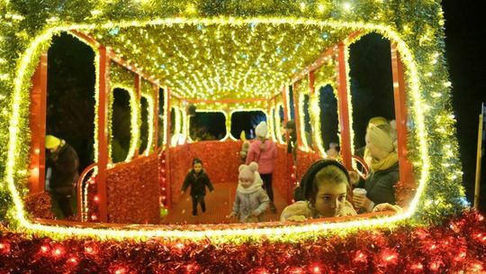 Park Iluminacji w Ogrodzie Botanicznym UMCS