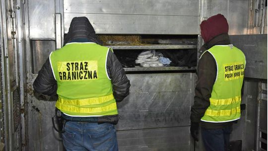 Przemyt haszyszu udaremniony na granicy
