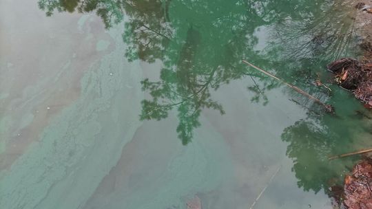 Akcja straży pożarnej na Jeziorze Czarnym Akcja straży pożarnej na Jeziorze Czarnym