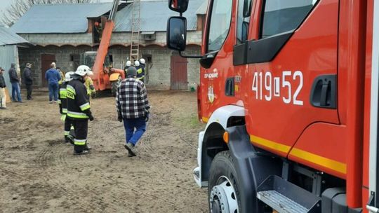 Drohiczany. Krowa wpadła do szamba