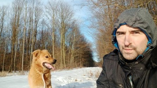 Zatrzelony pies Bąbel