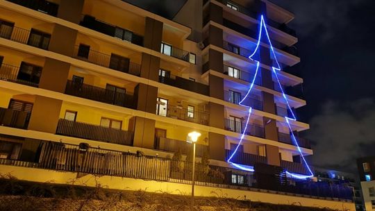 Wielka choinka na bloku w Lublinie