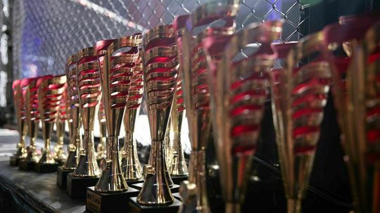 Madness Cage Fighting 7