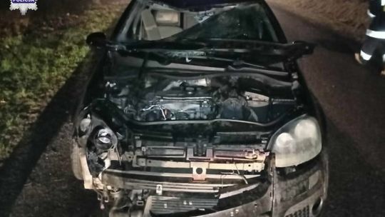 Tragiczny wypadek w Młynkach koło Puław Tragiczny wypadek w Młynkach koło Puław