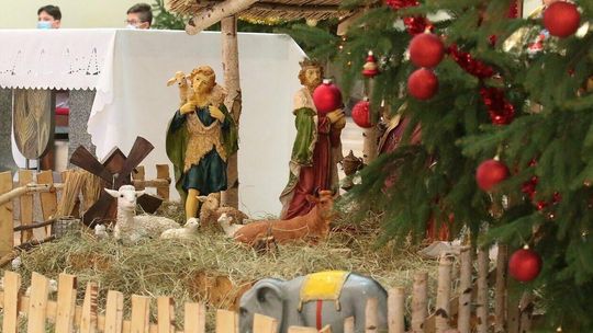 Kościół pw. Niepokalanego Serca Maryi i św. Franciszka