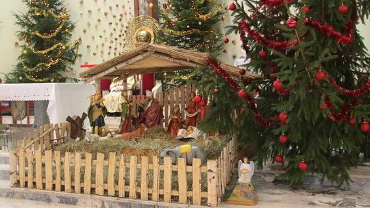 Kościół pw. Niepokalanego Serca Maryi i św. Franciszka