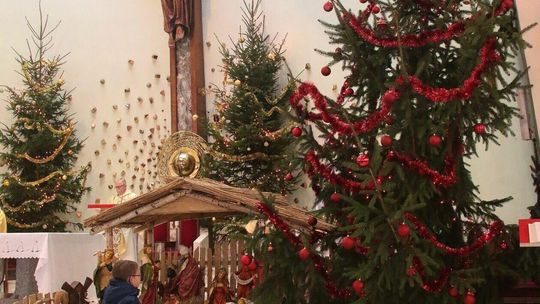 Kościół pw. Niepokalanego Serca Maryi i św. Franciszka