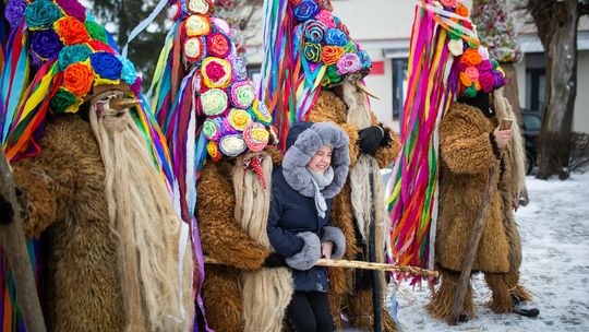 Brodacze w Sławatyczach