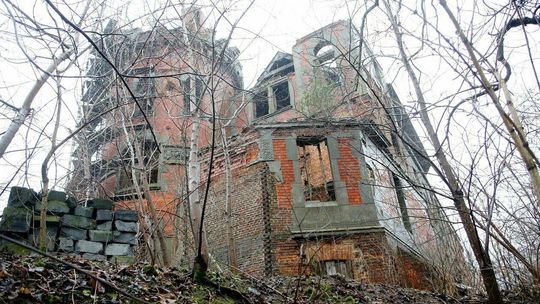 Pałac w Jakubowicach Murowanych