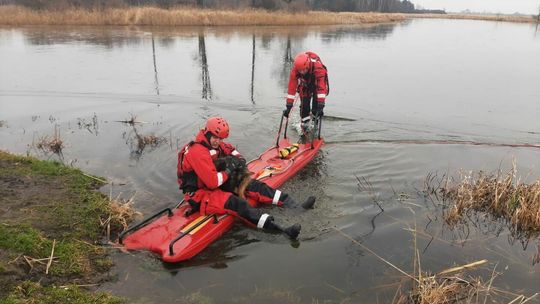 Strażacy uratowali psa na zamarzniętej rzece