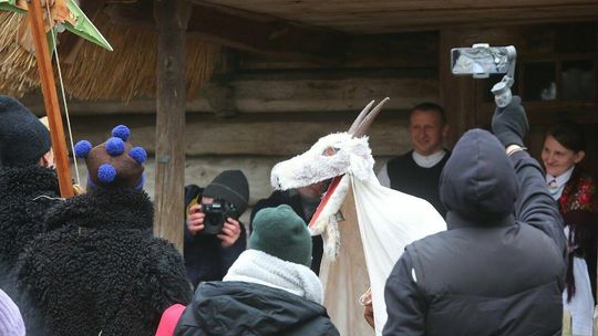 Kolędowanie z kozą w Muzeum Wsi Lubelskiej