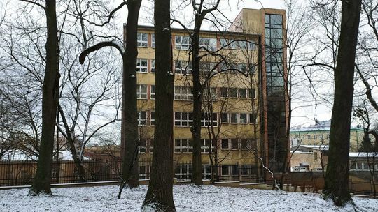 Symbole na części drzew w Ogrodzie Saskim