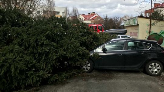 Strażacy usuwają skutki wichury – Lublin i powiat lubelski Strażacy usuwają skutki wichury – Lublin i powiat lubelski