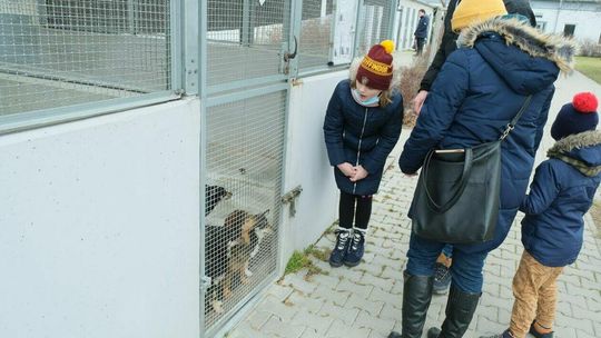 Dzień otwarty w lubelskim schronisku dla zwierząt
