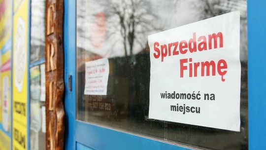 Handel i usługi we Włodawie