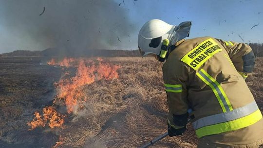 Pożar suchych traw w miejscowości Dębczyna