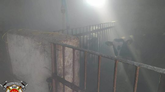 Akcja strażaków w Nasutowie