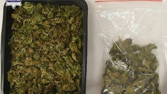 Konopie i marihuana w mieszkaniu 29-latka